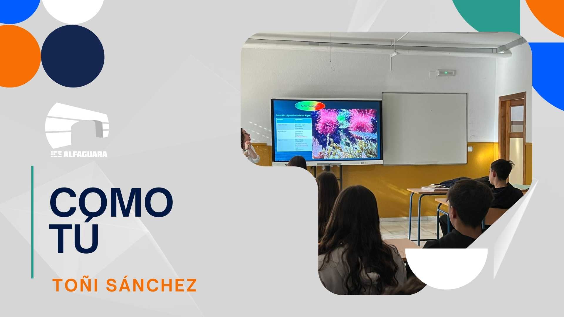 Biodiversidad marina - IES ALFAGUARA Biodiversidad marina - IES ALFAGUARA