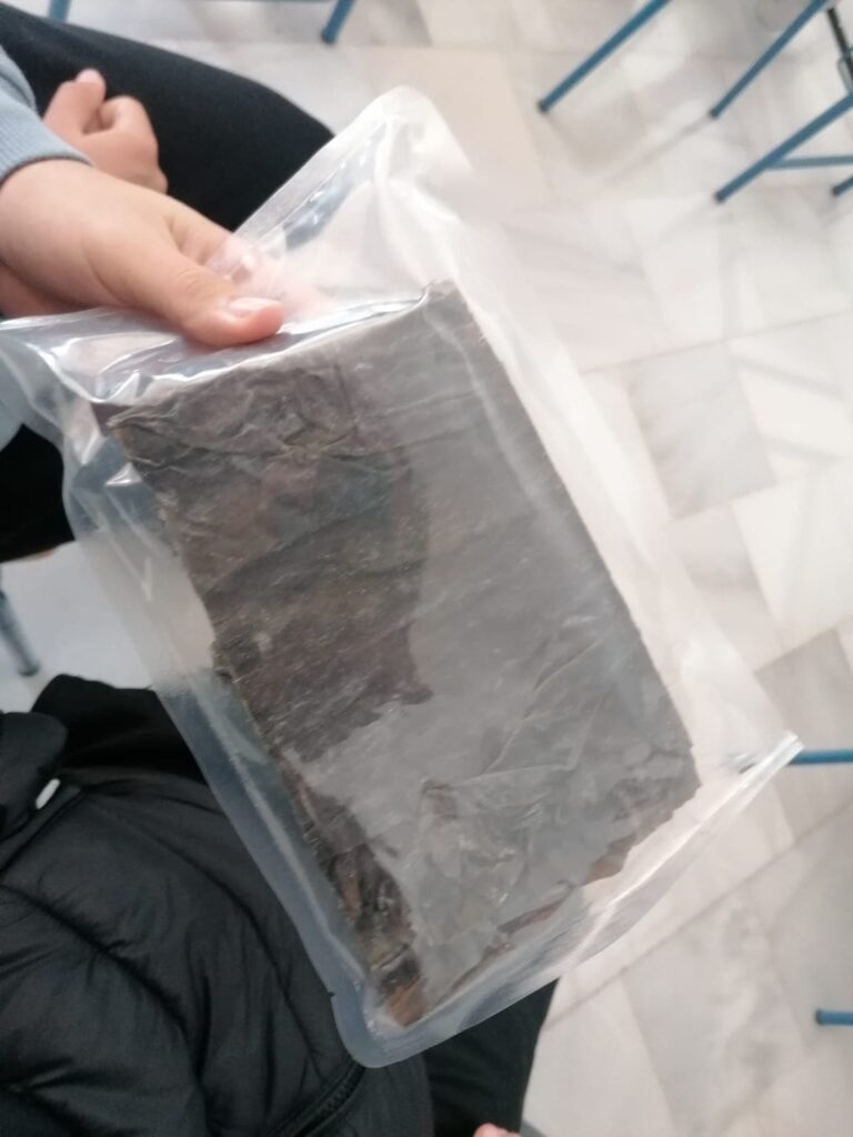 Biodiversidad marina - plantas