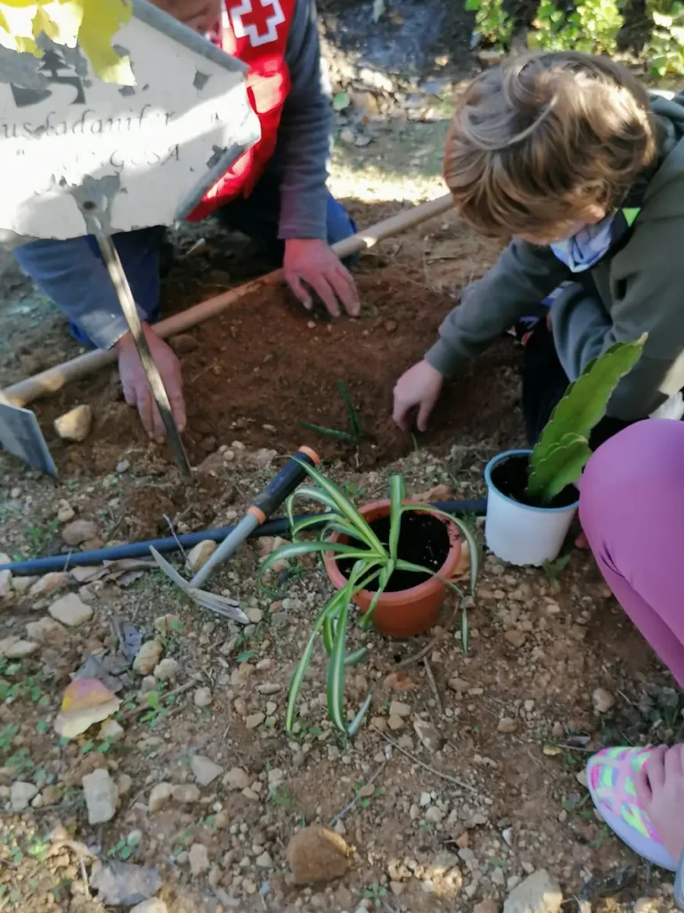 Plantas con Historias Vivas - Foto vivero